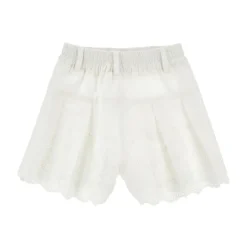 Embroidered Eyelet Pleated Shorts