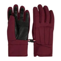 Glacier W Ski Gloves