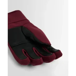 Glacier W Ski Gloves