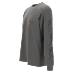 Langærmet Terrestrial T-shirt