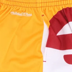 NBA Big Face Fashion Træningsshorts