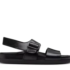 Torford Strap